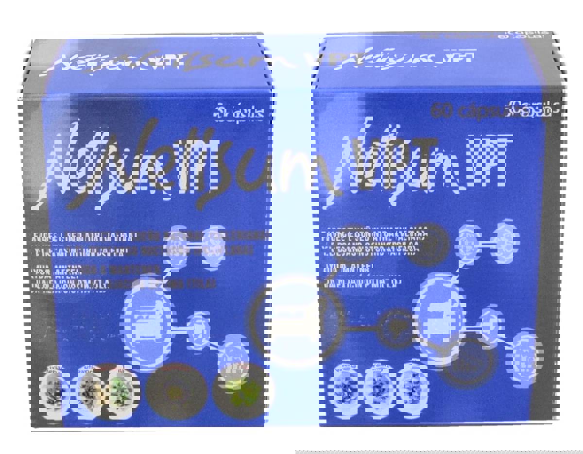 NETISUM 60 CAPS