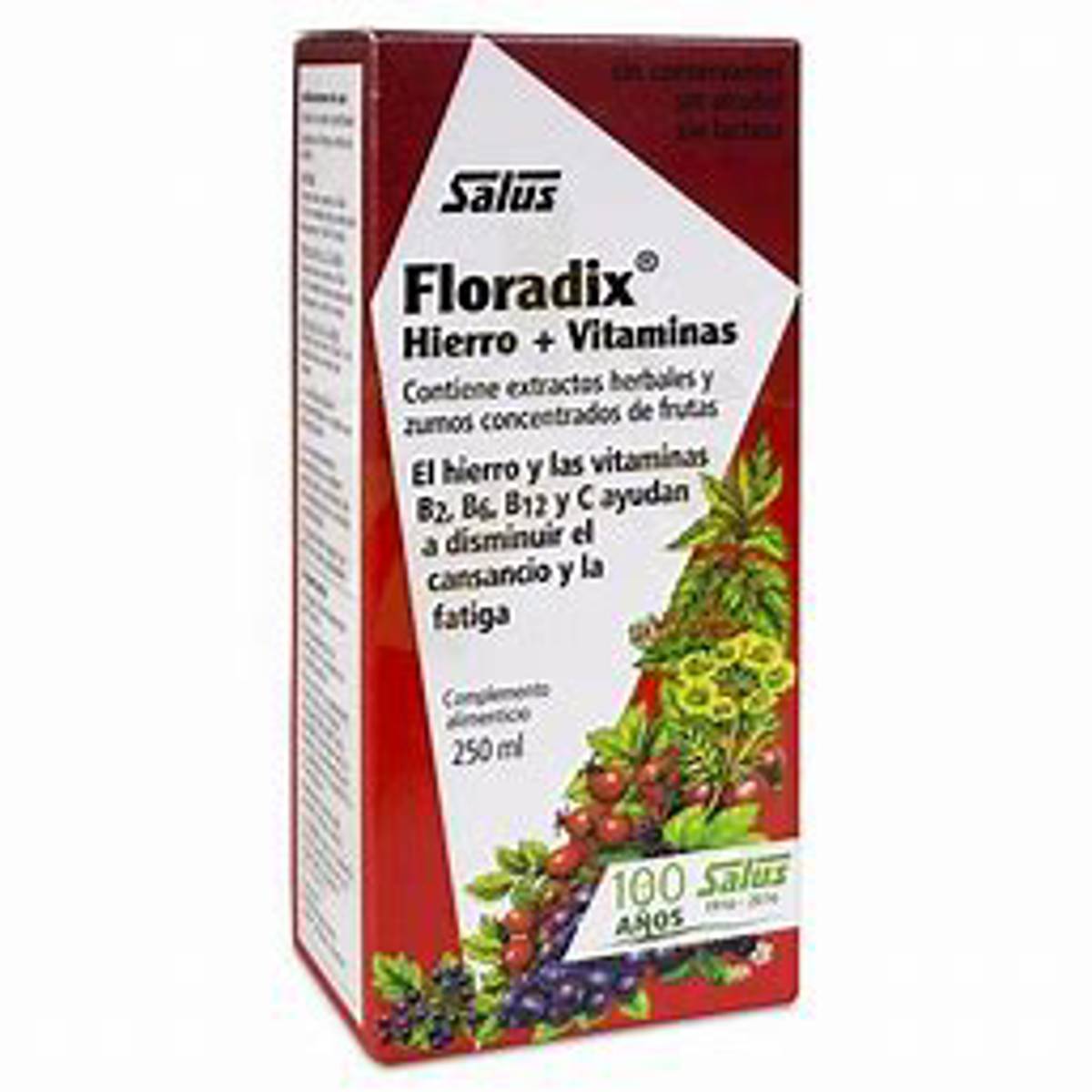 FLORADIX ELIXIR 250ML (TONICO HIERRO)