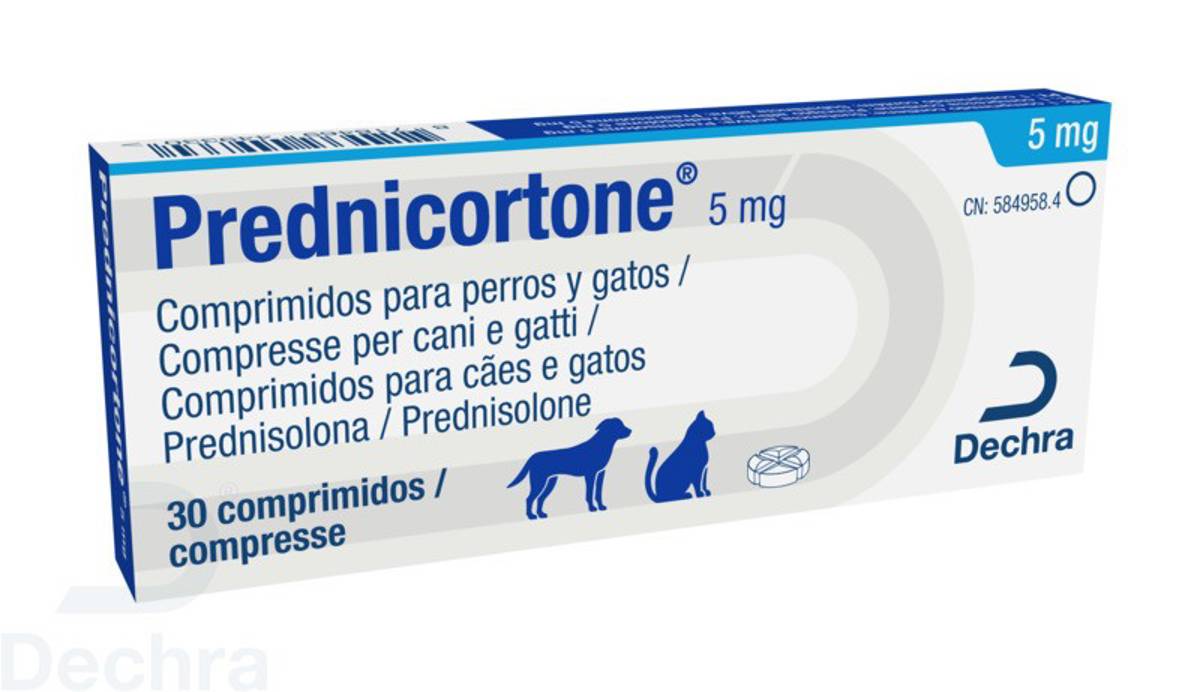 https://storage.googleapis.com/pharma-images/584958.jpg?v=854ecf49-56a2-4600-bdf5-5ec60af8f6ed